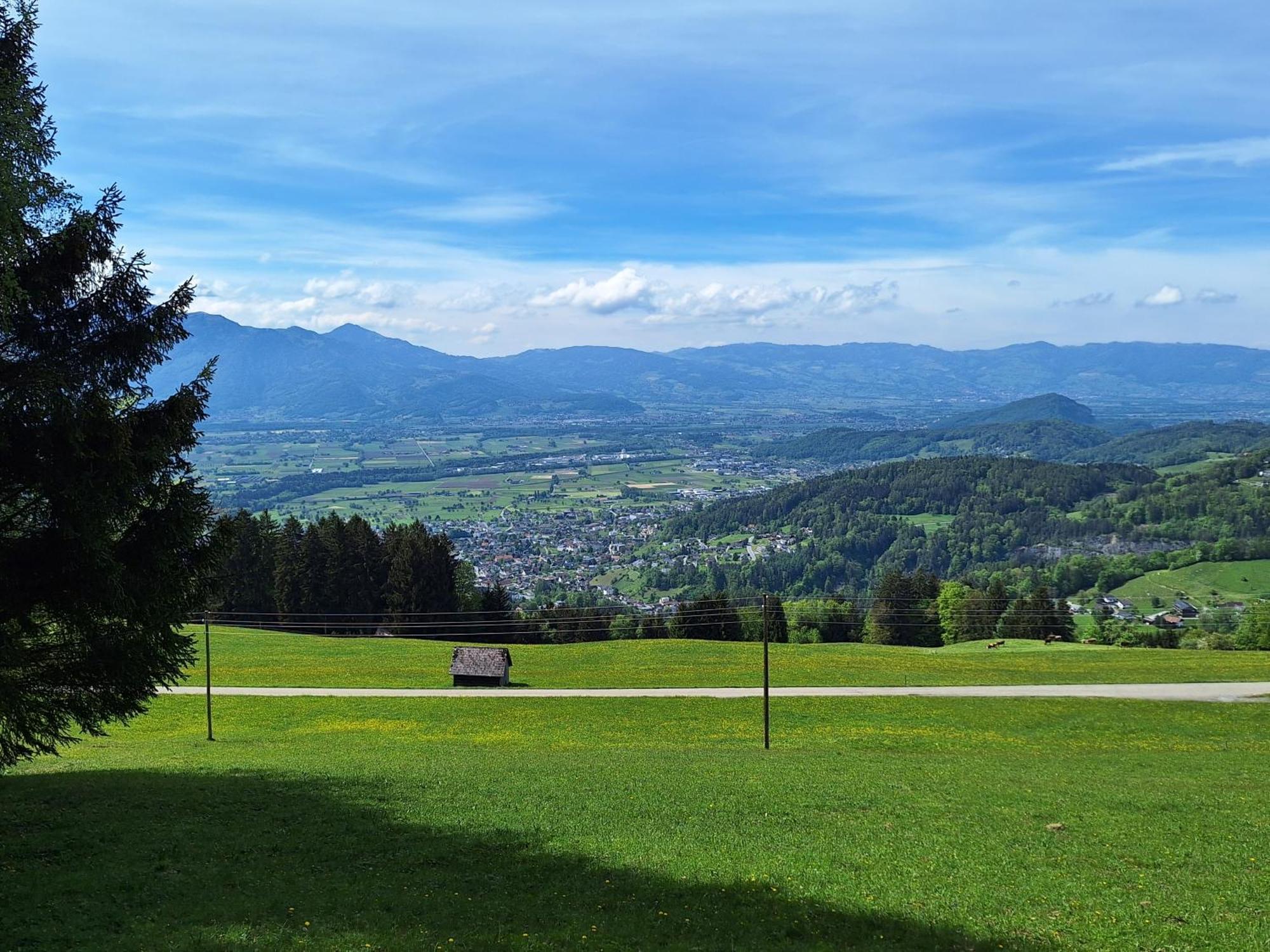 Apartment Rheintal Im Alpenvorland Batschuns Exterior photo